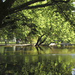 Giardino di piazza Dante - foto 06