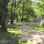 Giardino di piazza Dante - foto 07