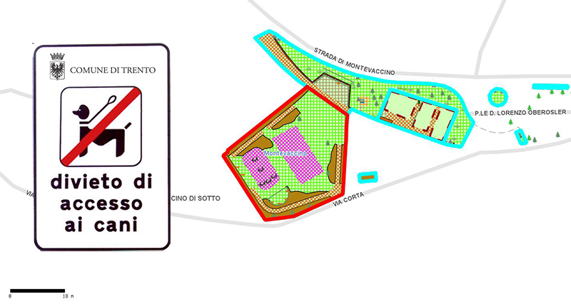 Immagine da cartografia