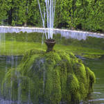 Giardino Villa Mersi - foto 04