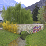 Parco di Melta - foto 15