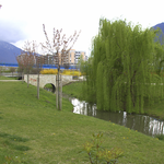 Parco di Melta - foto 16