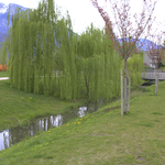 Parco di Melta - foto 2