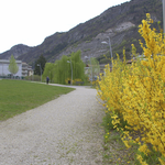 Parco di Melta - foto 7