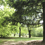 Parco delle Coste - foto 3