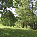 Parco delle Coste - foto 9