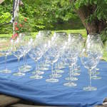 Aperitivo presso l'Edificio Rurale foto di Luisella Decarli