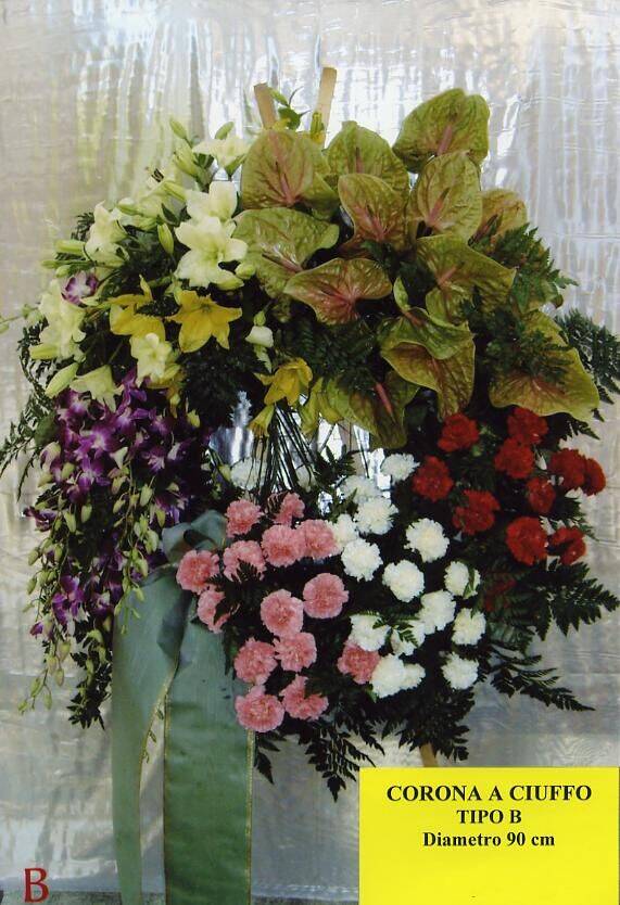 Tipo B Corona a ciuffo