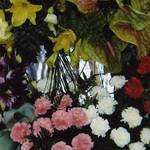 Tipo B Corona a ciuffo