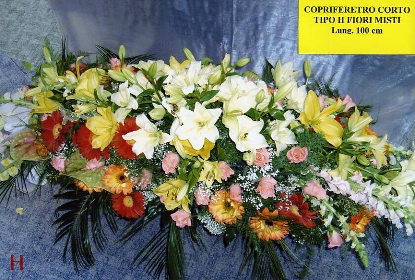 Tipo H Copriferetro corto assortito