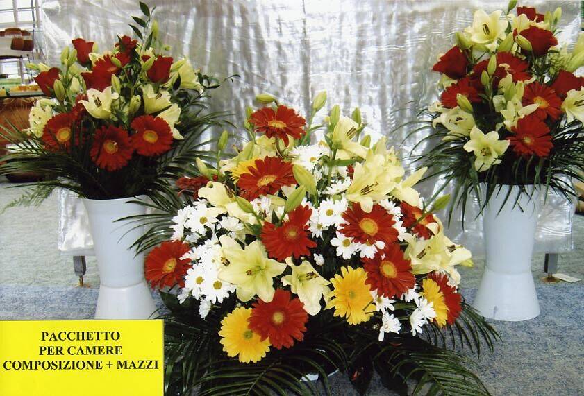 Tipo O Pacchetto per camera