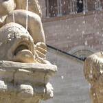 foto di Paolo Deimichei