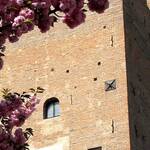 Particolare