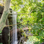 Foresta tropicale all'interno del MUSE