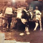 Foto storica attività salumeria Belli